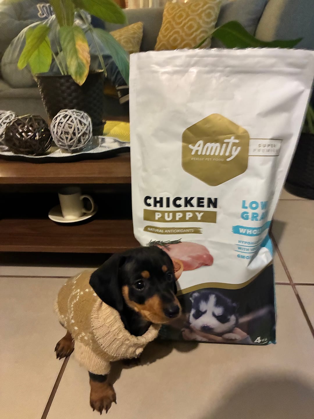 Customer photo review of Amity Low Grain Chicken Puppy