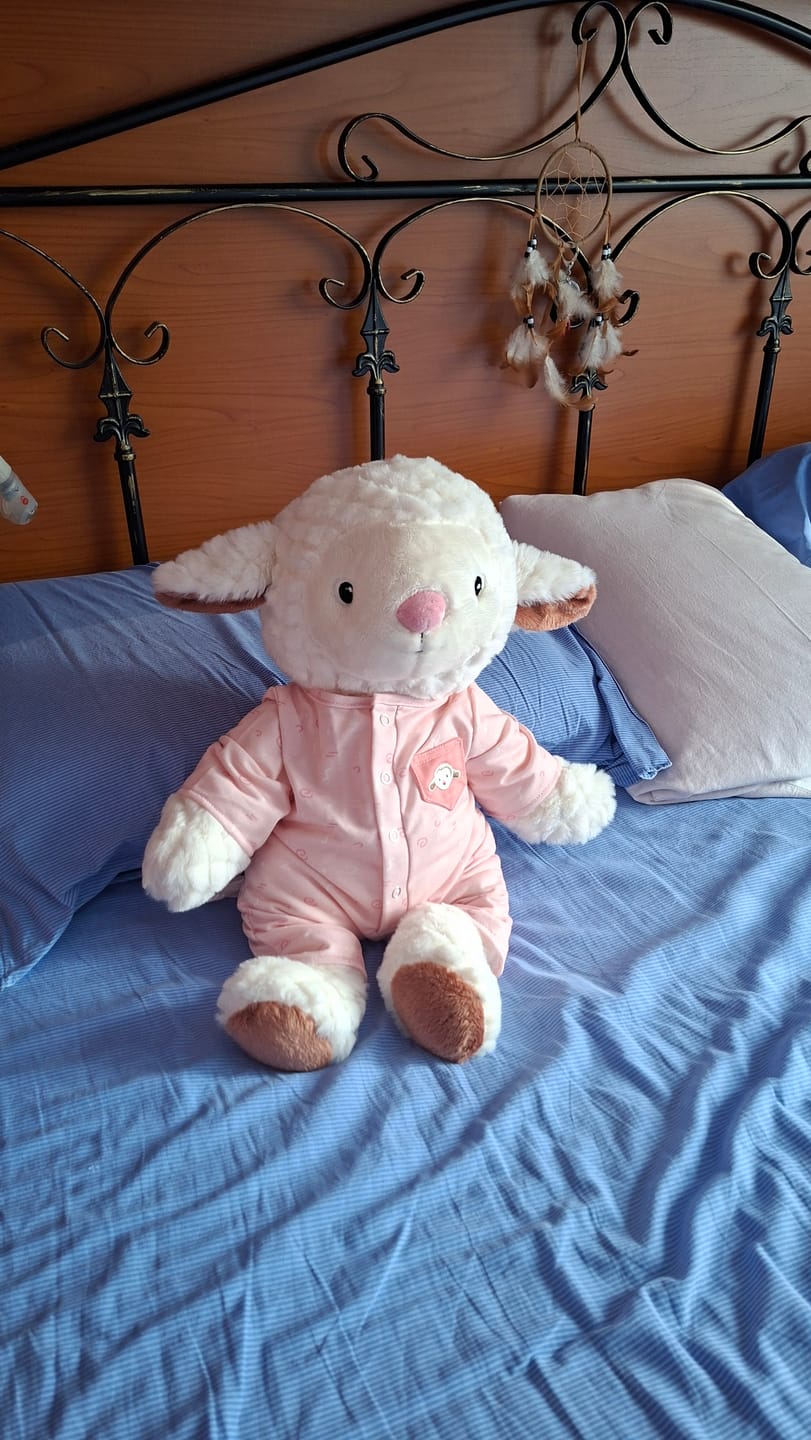 Customer photo review of Schaap Kleding Herfst Lotgenootje