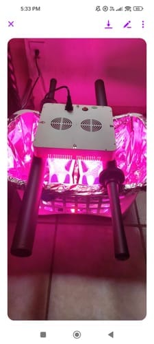 Customer photo review of Nu Antidote Kit Bundle