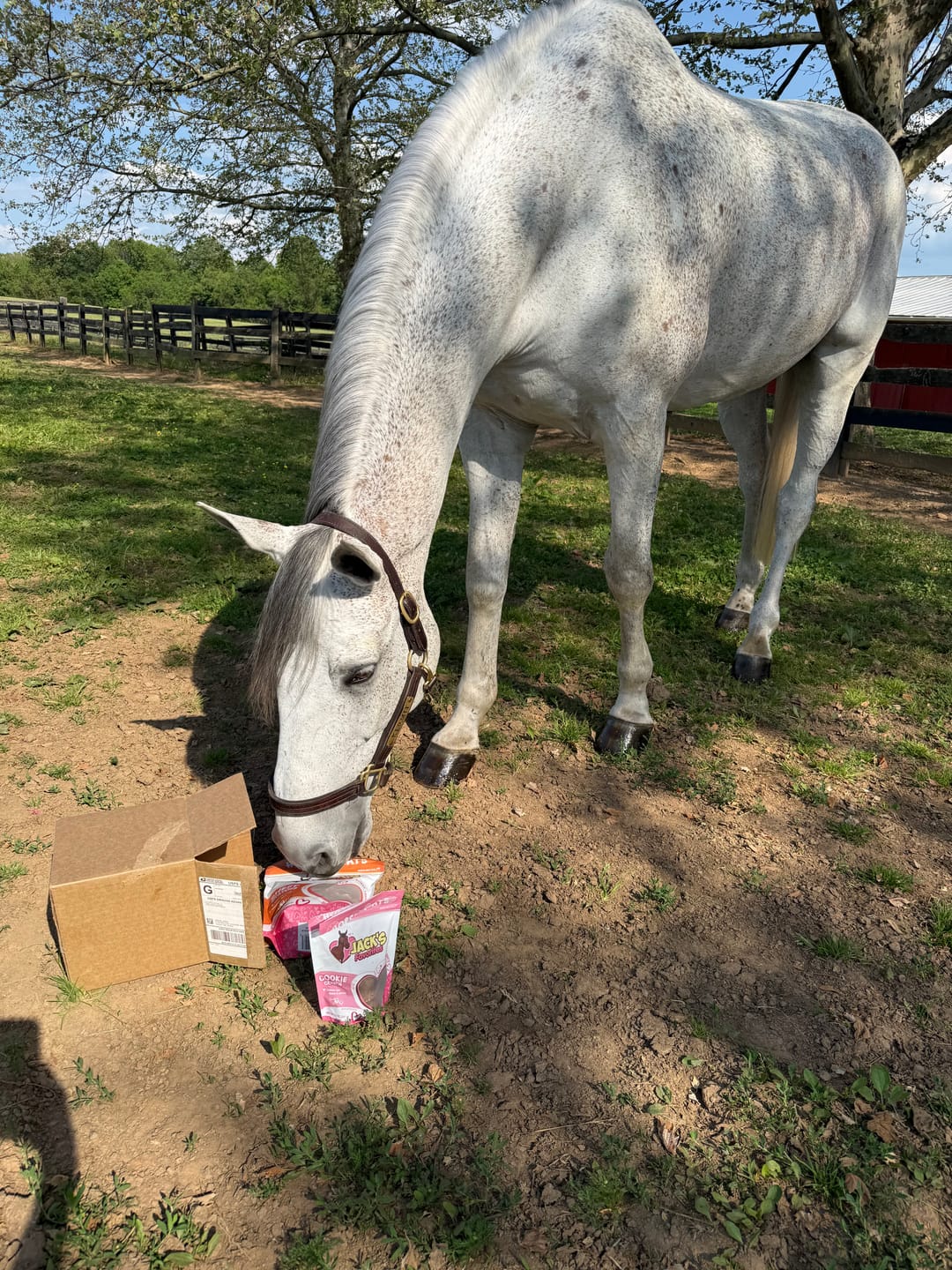 Customer photo review of Cookie Crunch
