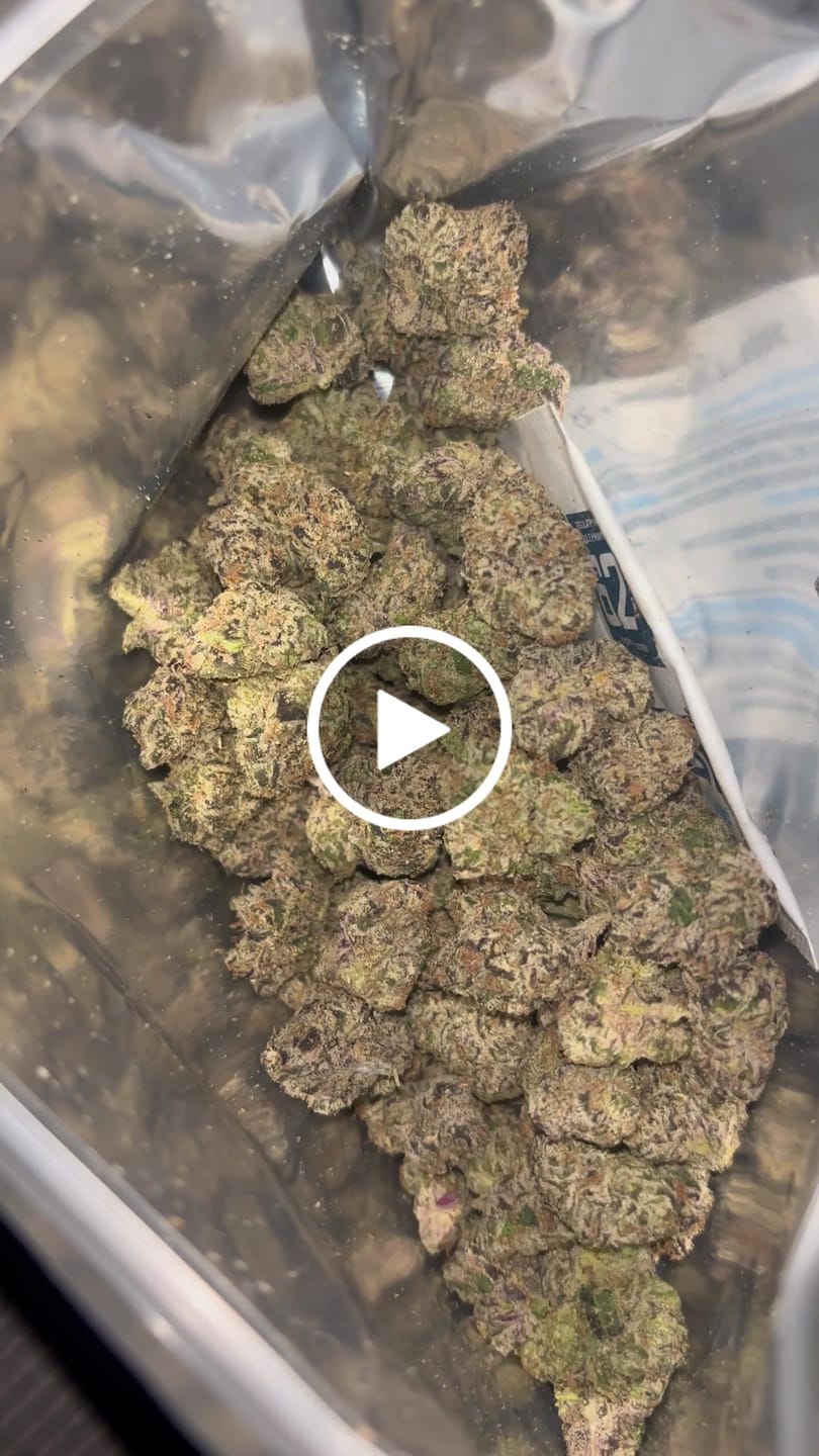 Customer video review of Black Bow - Exotic Smalls