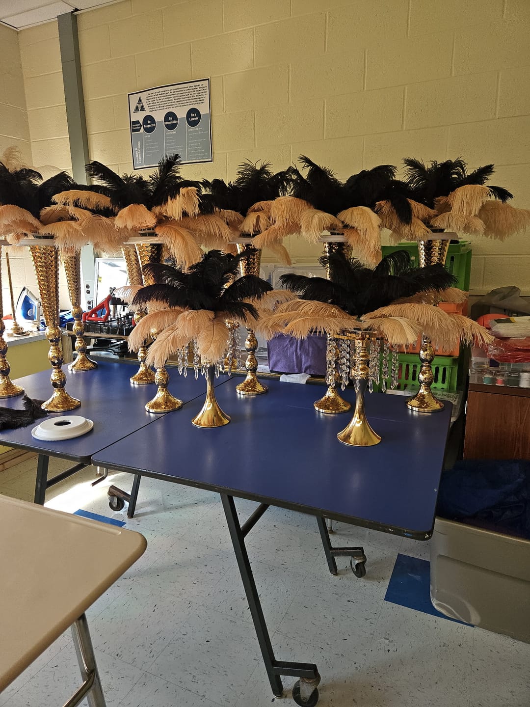 Customer photo review of Ostrich Feather Tail Plumes 9-12" (Black)