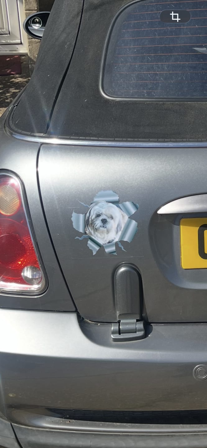Customer photo review of Peeking Photo - Personalised Car Sticker
