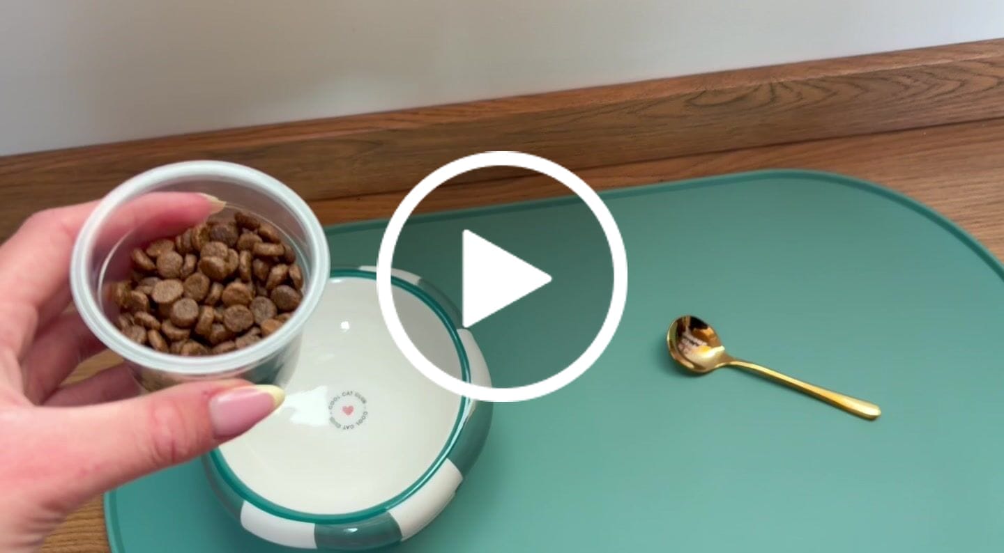 Customer video review of Coffret Découverte Chaton - 1kg Croquettes + 8 Pâtées + 3 probiotiques