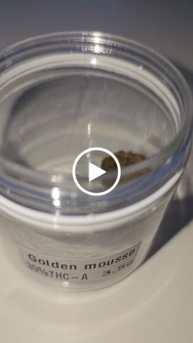 Customer video review of Golden Mousse 30% THCA