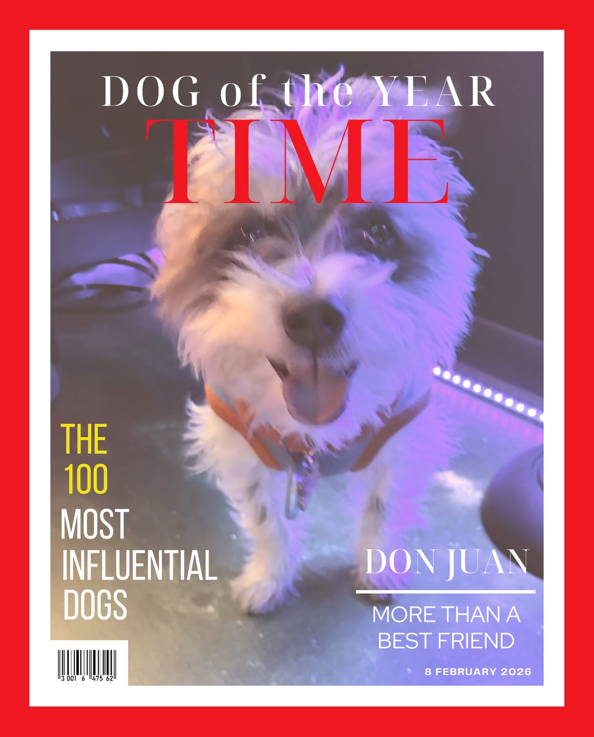 Customer photo review of Pet Portrait Magazine Cover