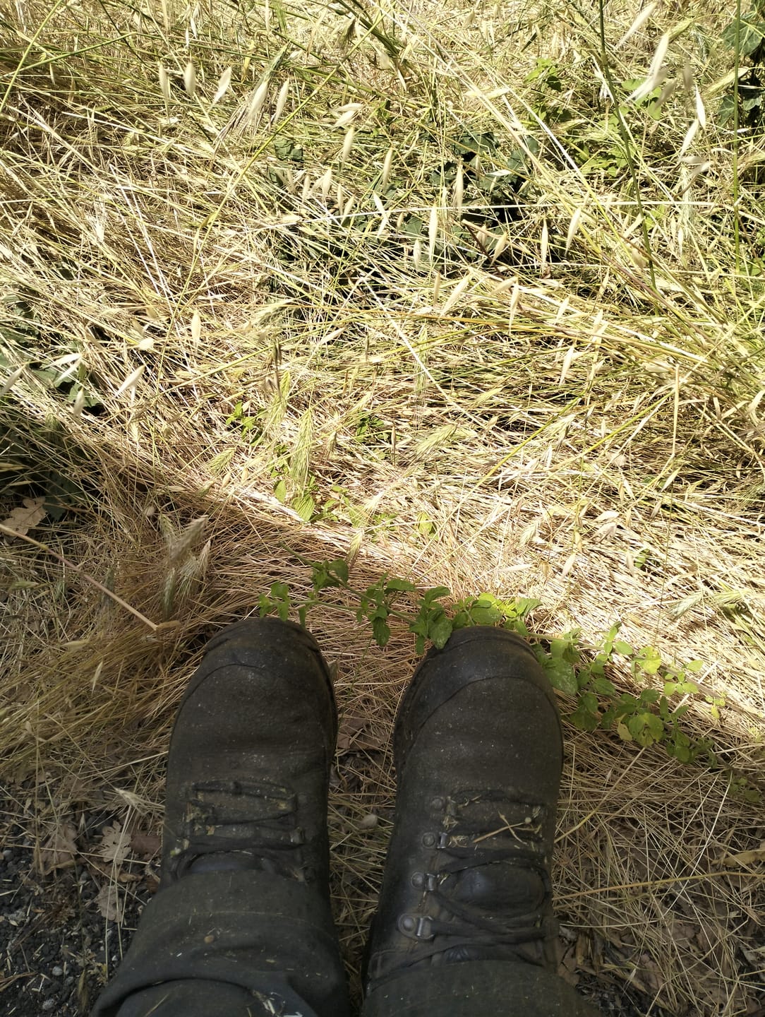 Customer photo review of Scarponi Esercito Tedesco Rigenerati Meindl / Haix U132 in Vera Pelle Gore-Tex