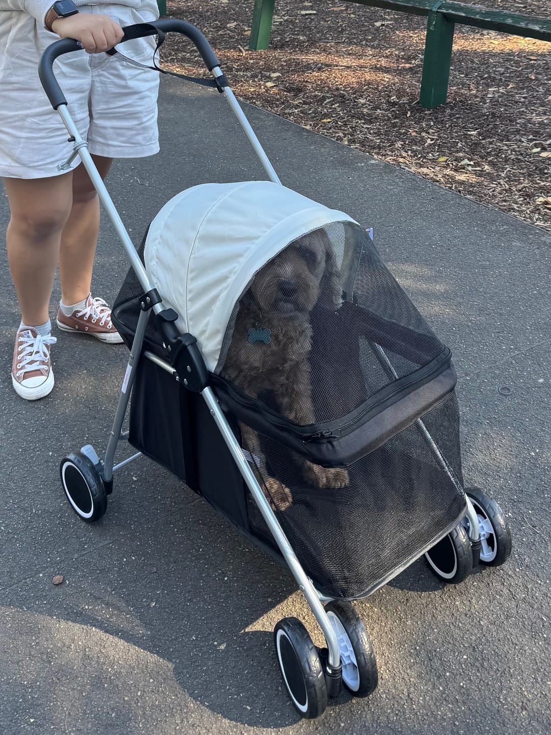 Customer photo review of Compact & Comfortable Pet Stroller
