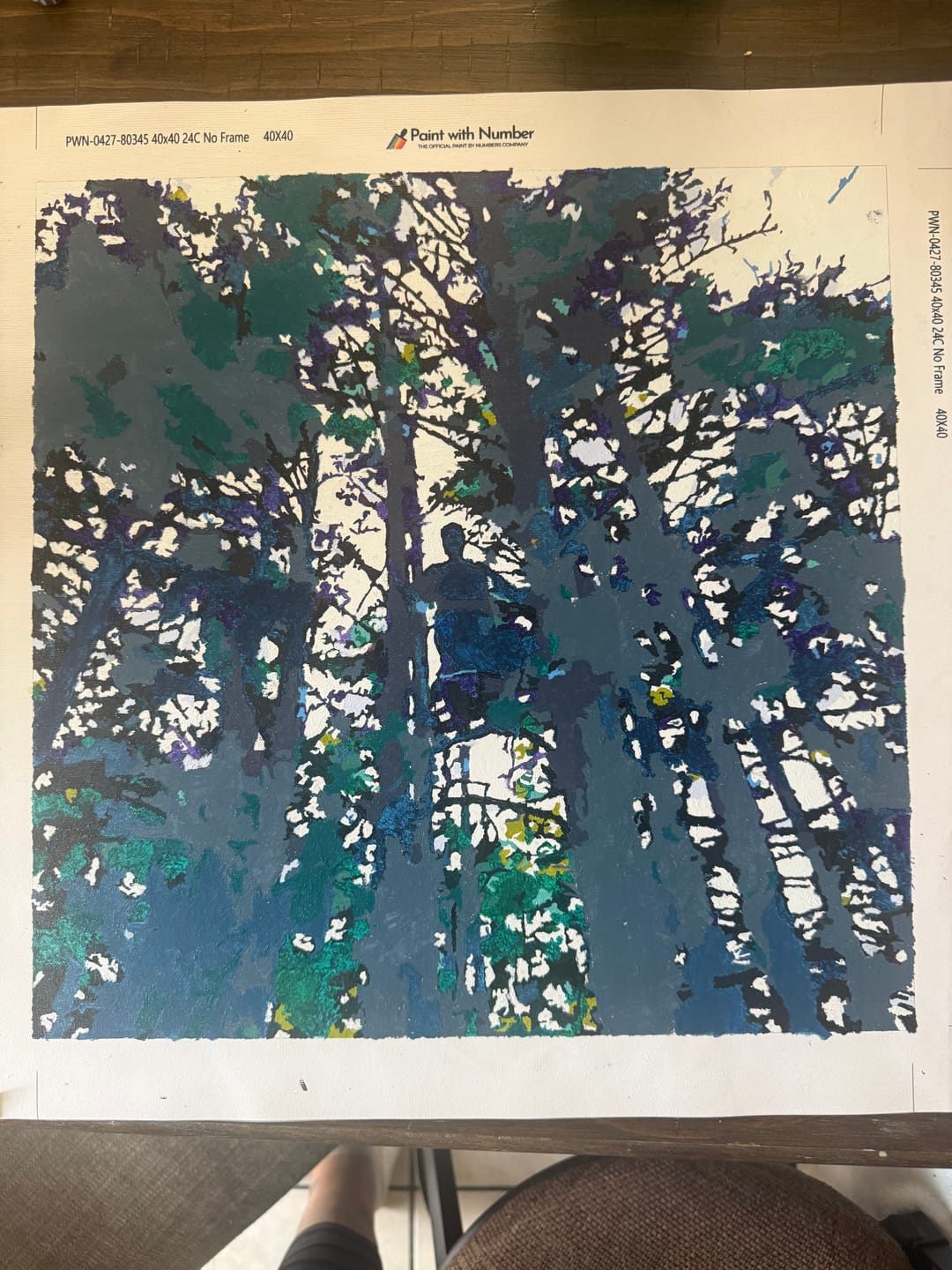 Customer photo review of Custom Paint by Numbers Kit (Made in USA | Ships From USA)