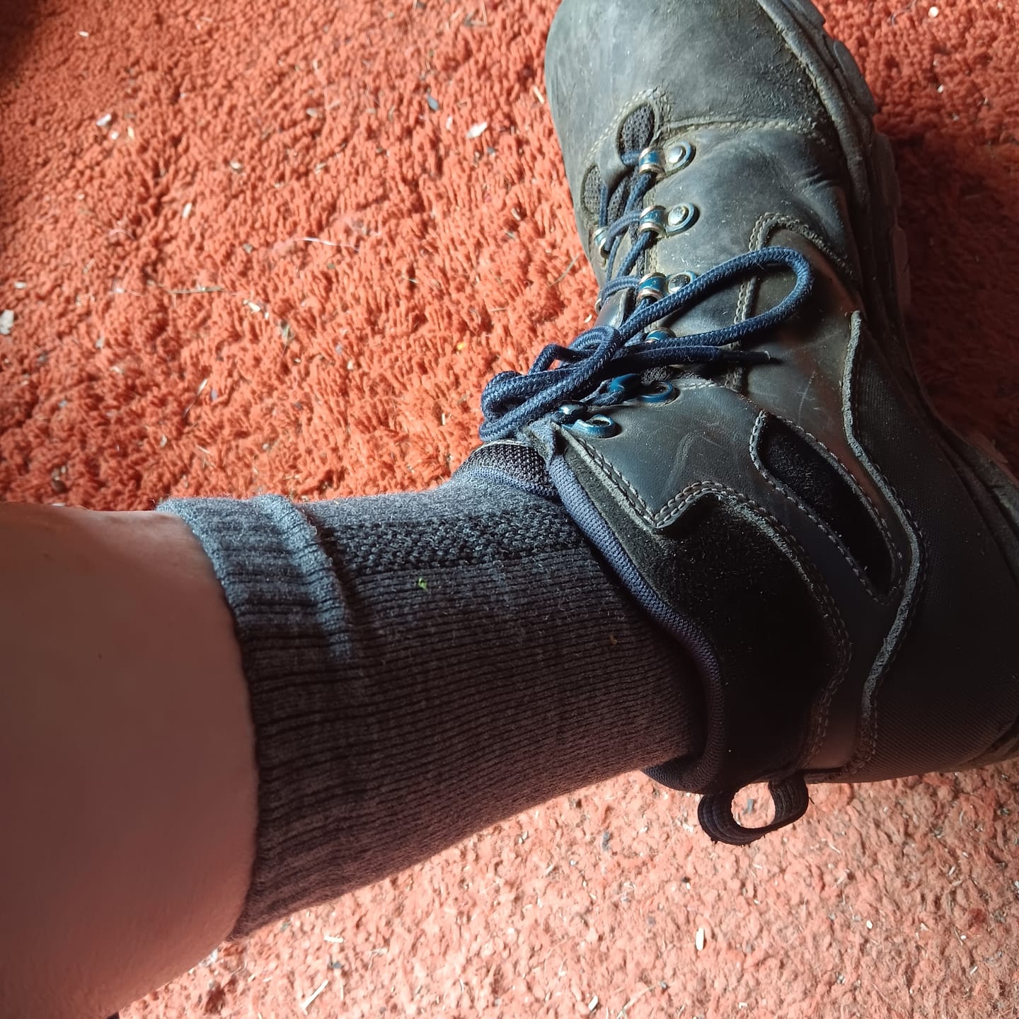 Customer photo review of Men's Alpaca Socks