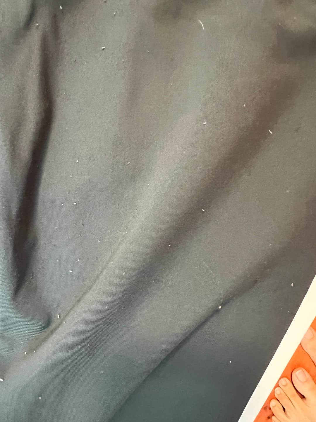 Customer photo review of Formation Joggers