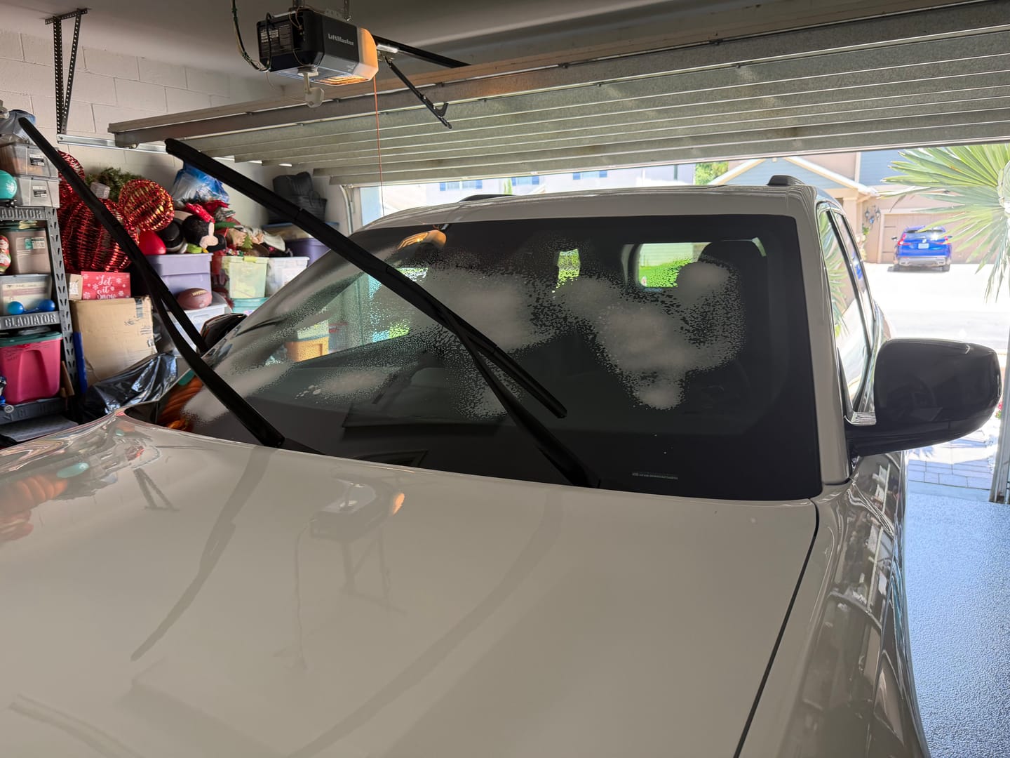 Customer photo review of Car Wash in a Can - 3 Pack