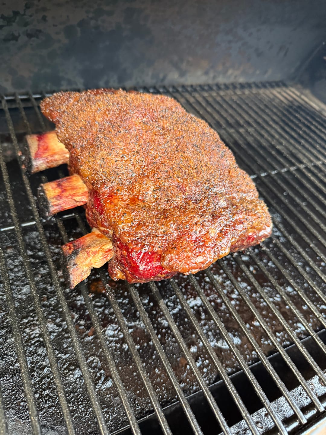 Customer photo review of USDA Choice Bone-In Short Ribs