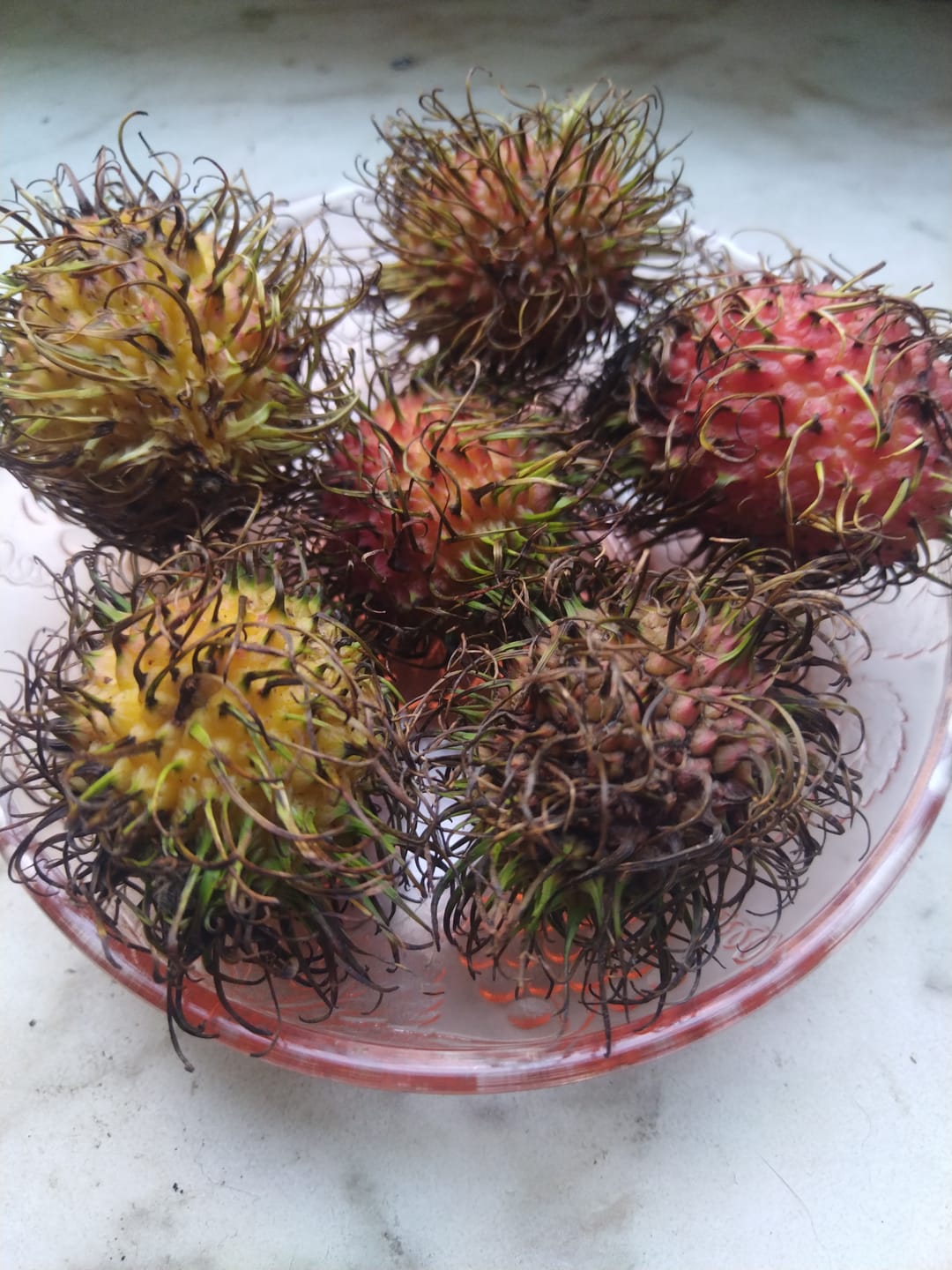 Customer photo review of Rambutan naturbelassen