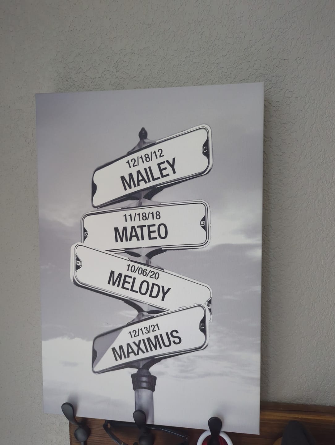 Customer photo review of My Street Sign Custom Children Names Personalized Canvas Print