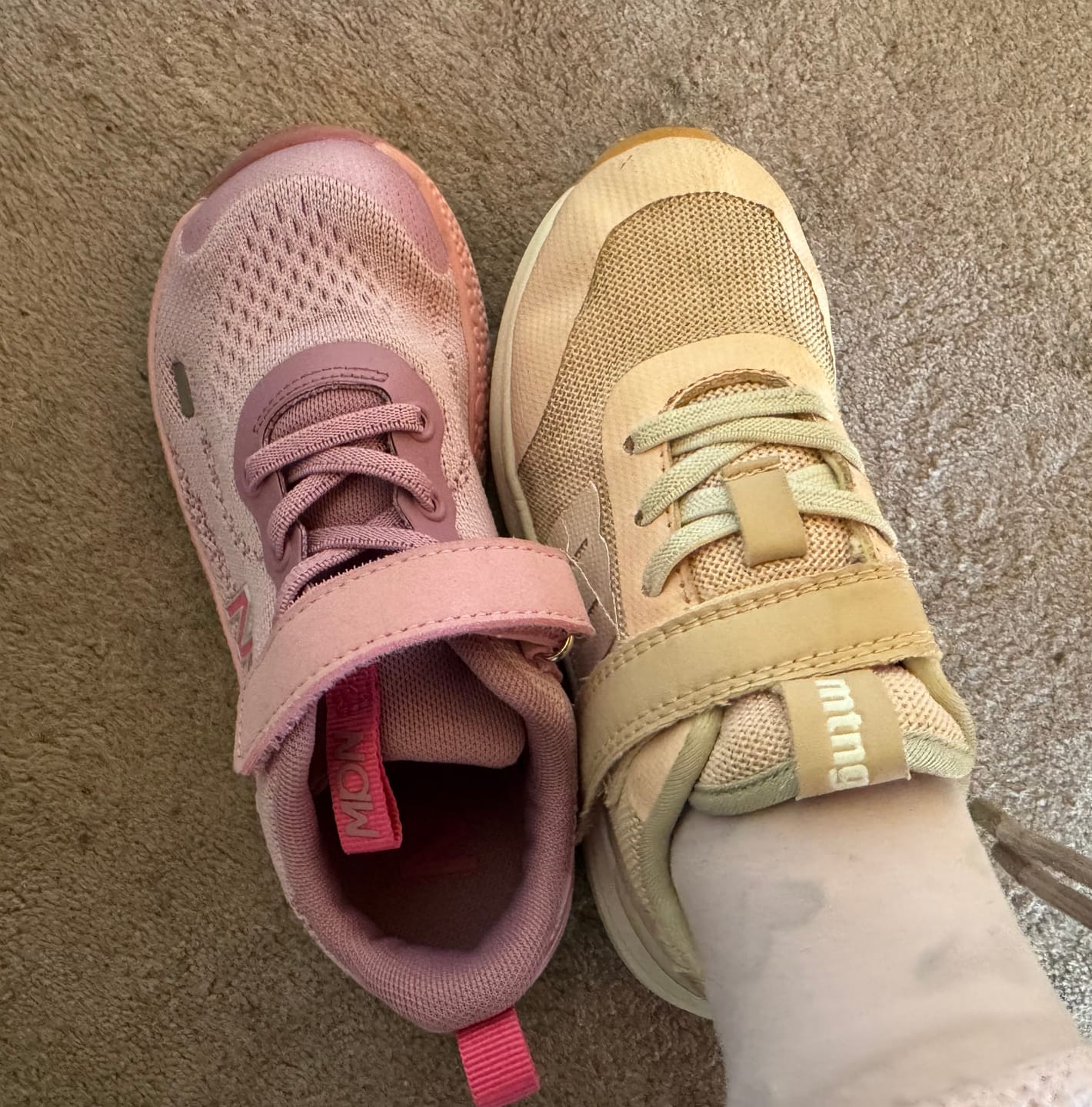 Customer photo review of Aurora Kids