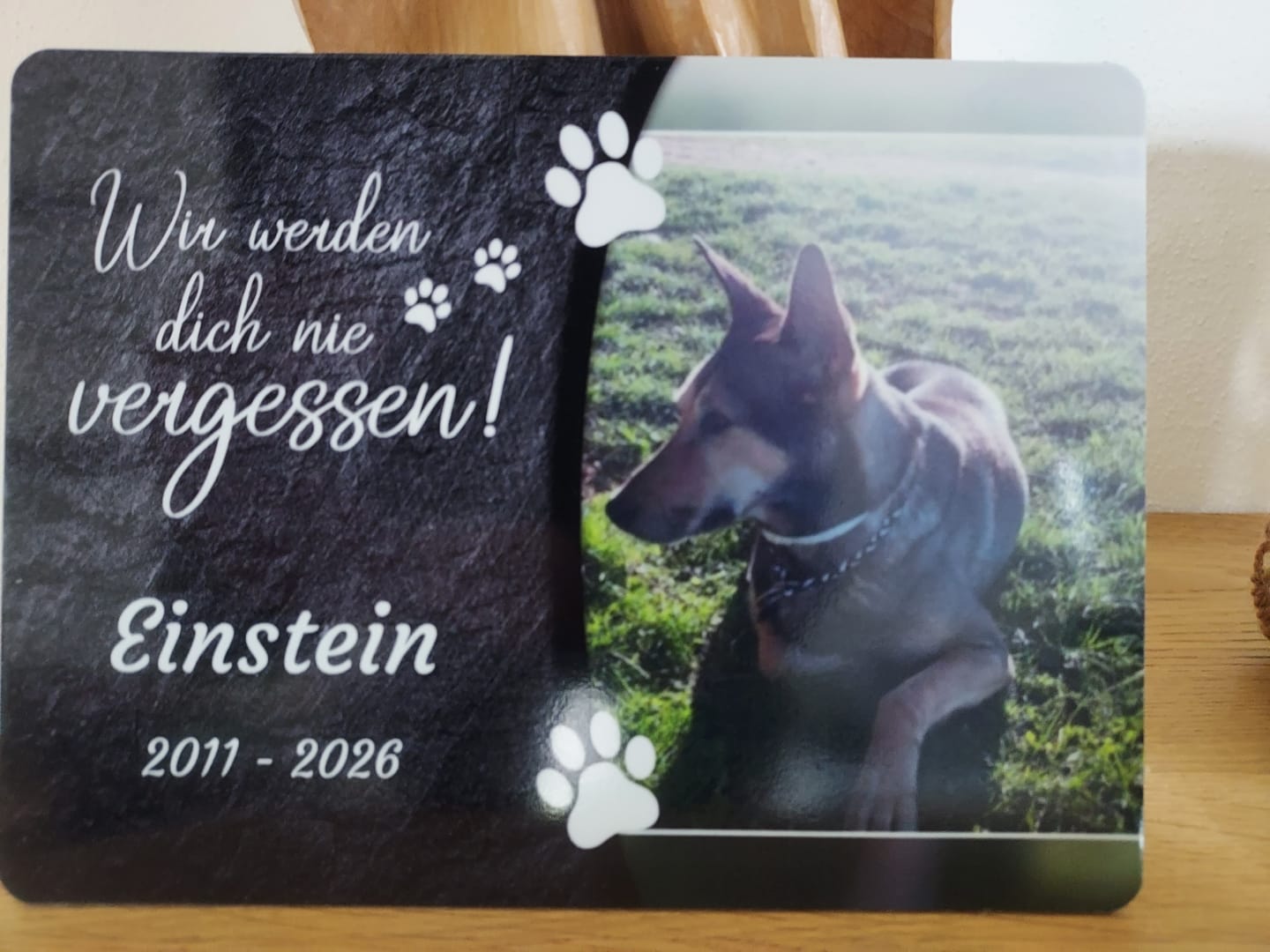 Customer photo review of Hunde Gedenktafel mit Foto & Spruch (UV- &  Wetterfest)