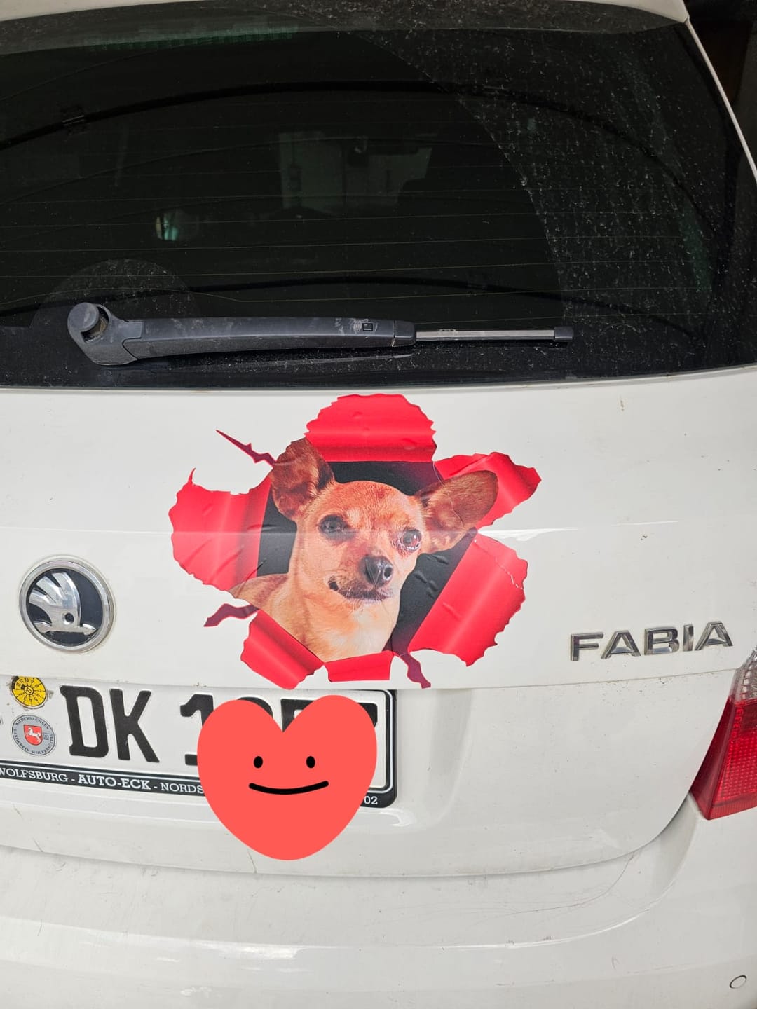 Customer photo review of Personalisierter Autoaufkleber - Spähendes Foto