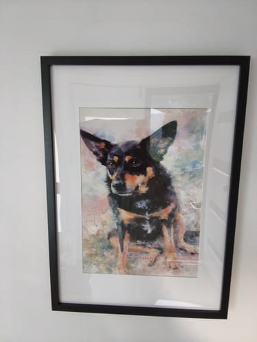 Customer photo review of Personalised Poster With Dog or Cat - Watercolour