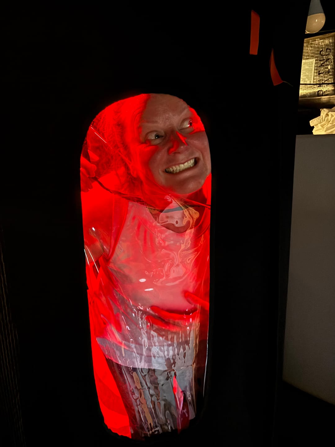 Customer photo review of The Sauna Pod 2.0