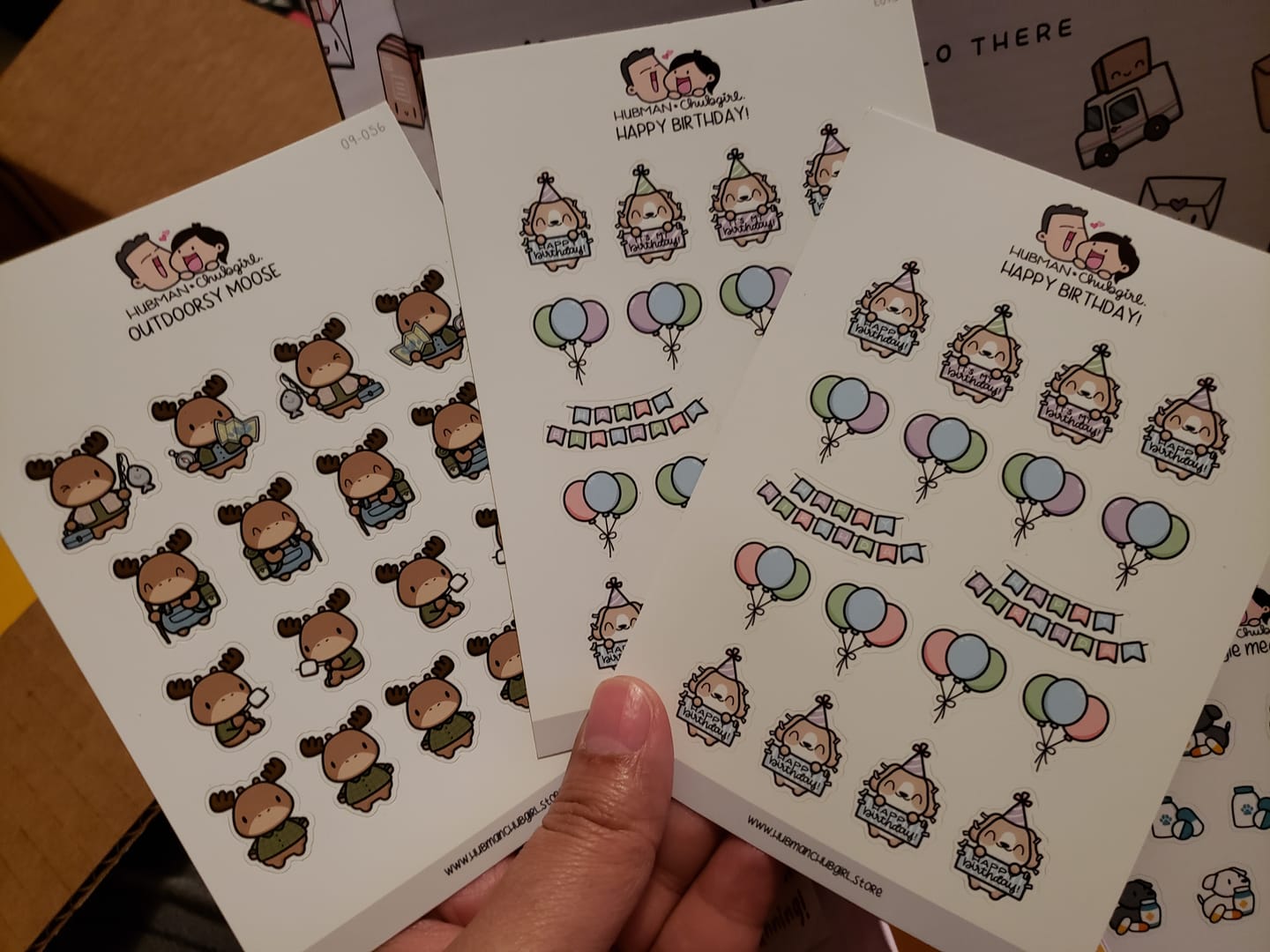 Customer photo review of Outdoorsy Moose Planner Stickers