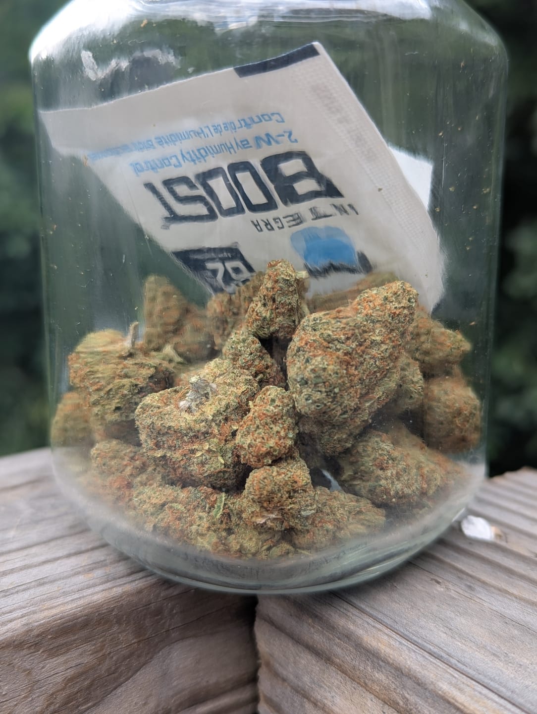 Customer photo review of Banana Jealousy XL THCa Exotic Flower 10g 4K