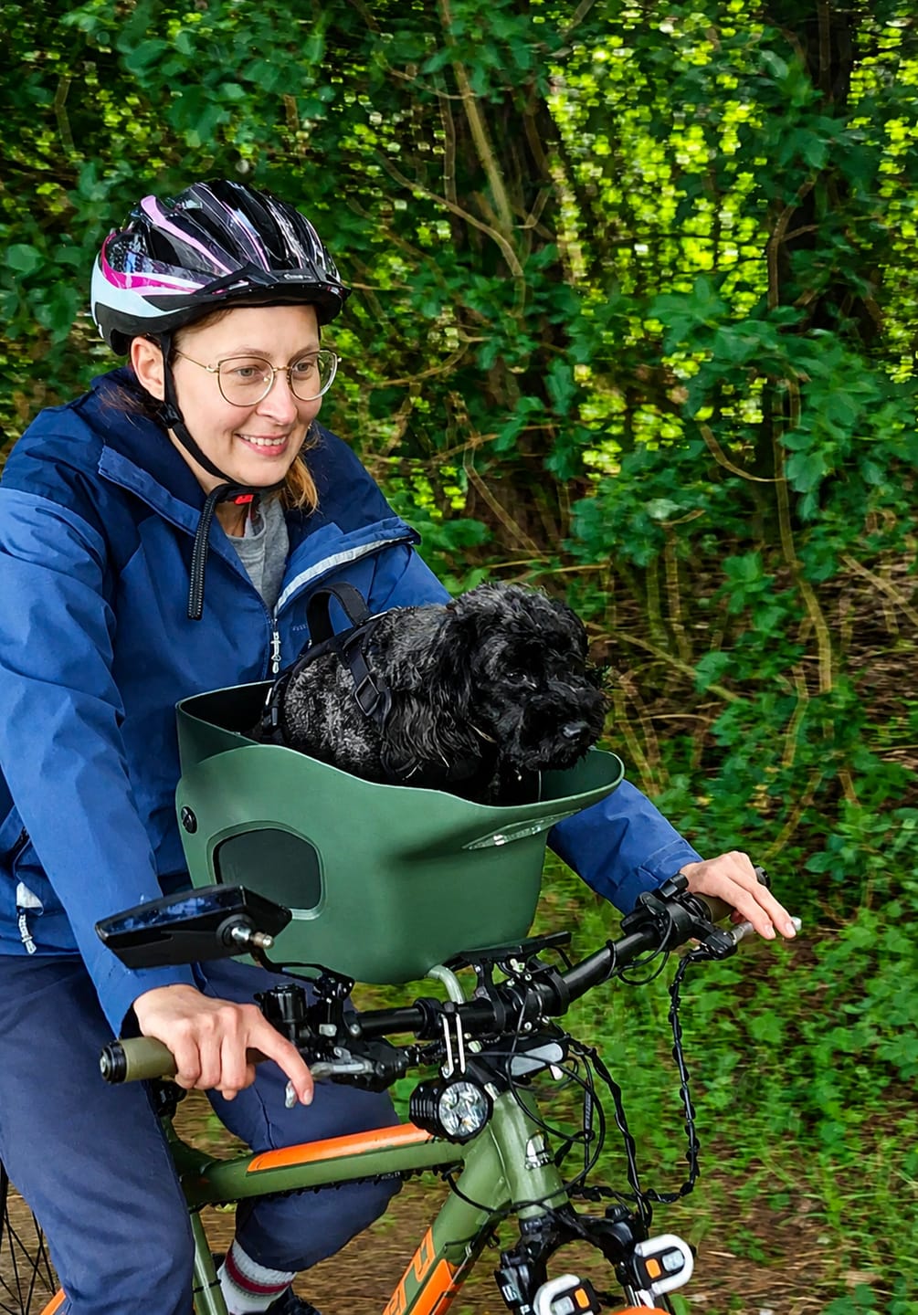 Customer photo review of Kvisp Dog Bike Carrier