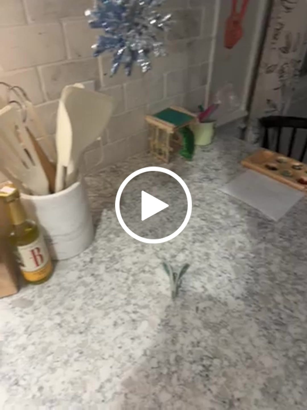 Customer video review of 20oz Slider Lid Upgrade