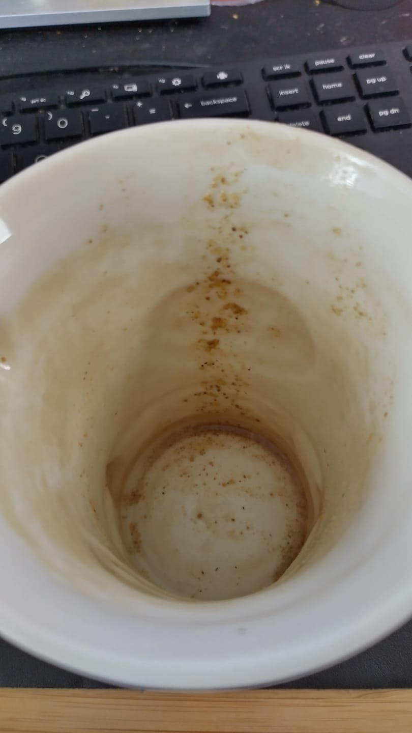 Customer photo review of SISUU Vitality Tea Sample
