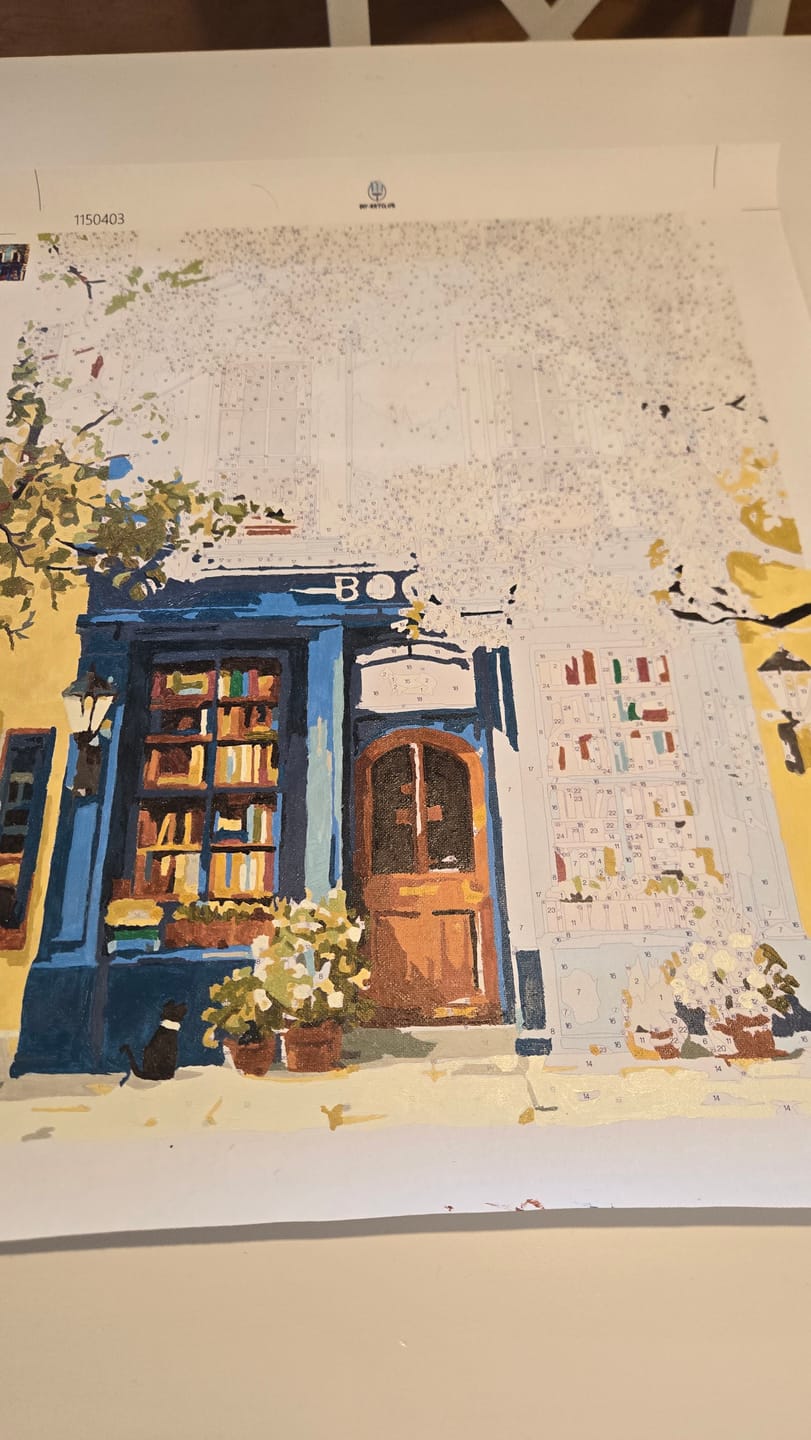 Customer photo review of The Blue Bookshop | Paint by Number