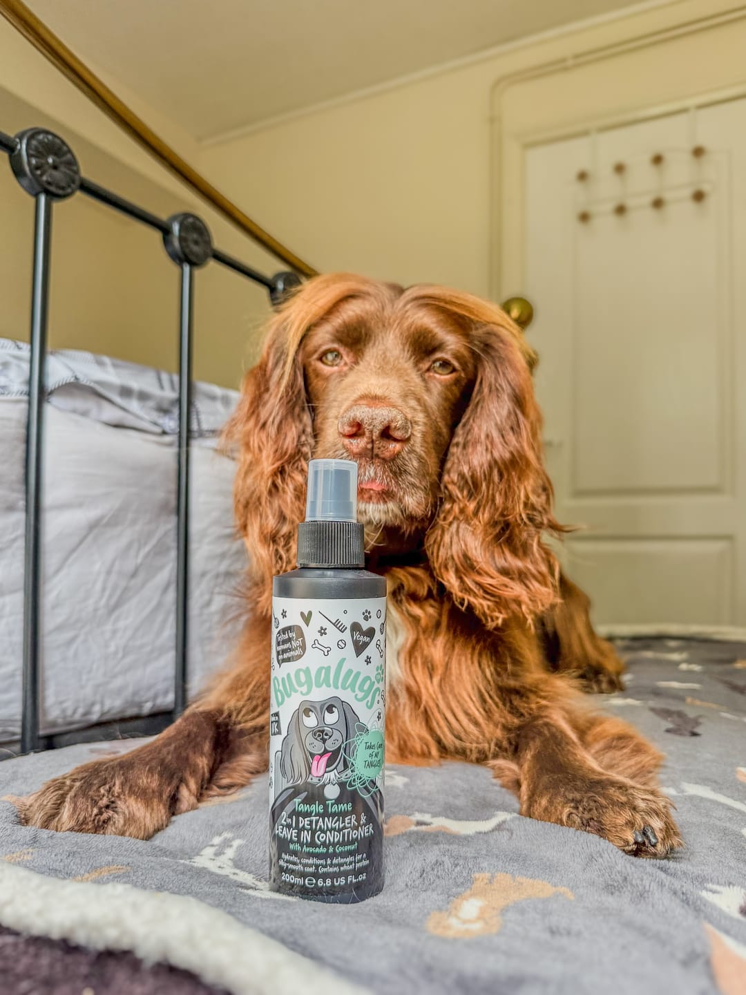 Customer photo review of Tangle Tame 2-in-1 Dog Detangler & Leave-in Conditioner Spray for Dogs