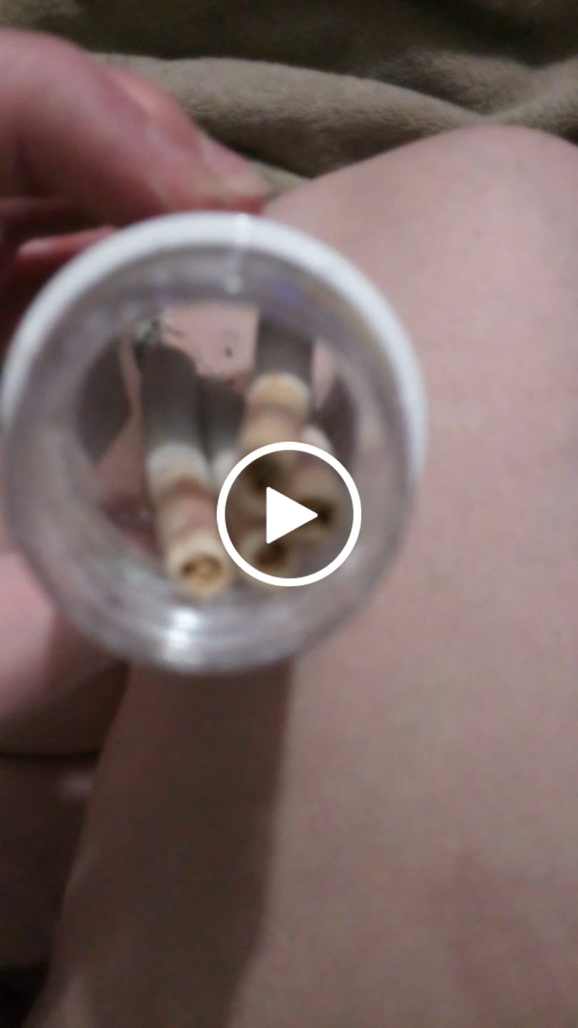 Customer video review of PLATINUM OG SUGAR CONES