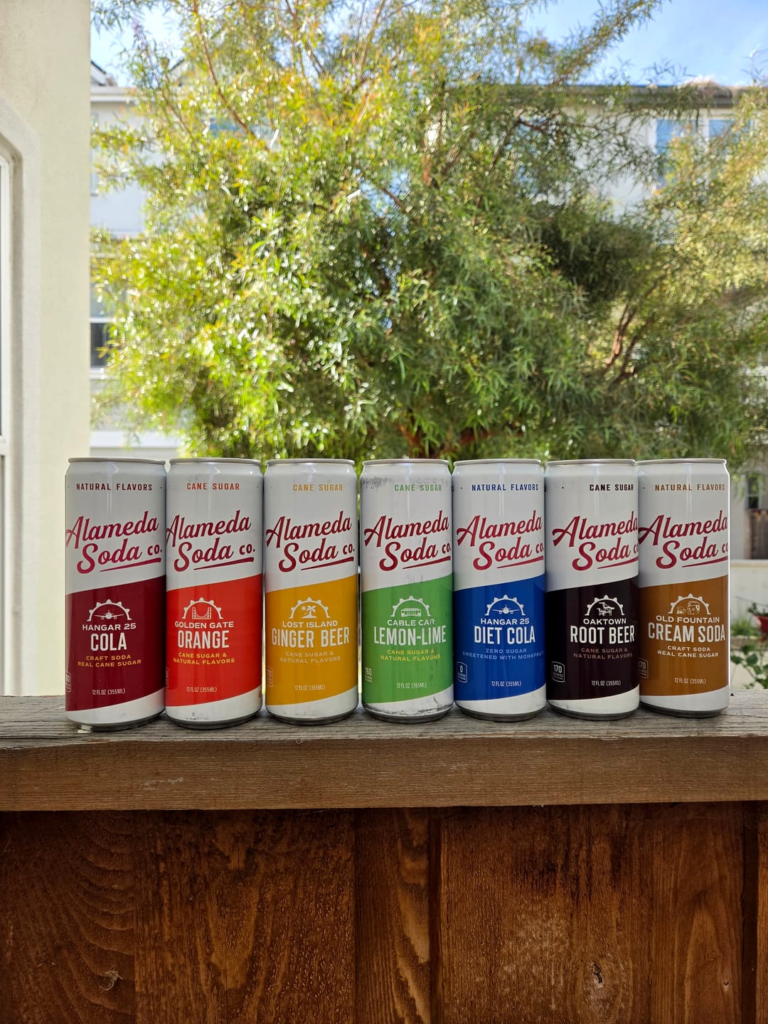 Customer photo review of Variety Pack Cans