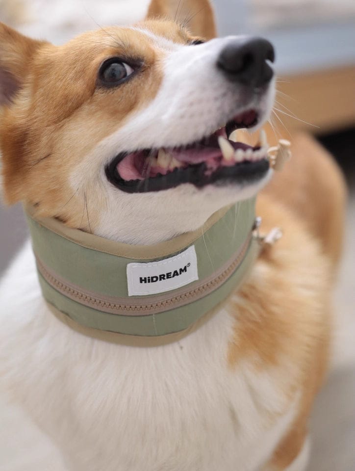 Customer photo review of Dog Cooling Collar with Reusable Ice Packs – Waterproof, Adjustable & Skin-Safe Design (No Direct Ice Contact)