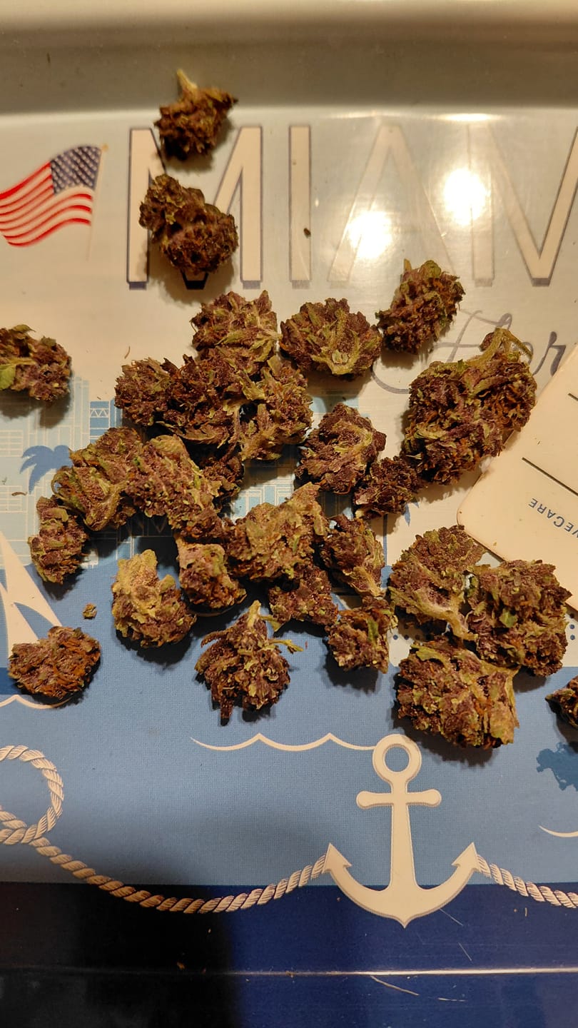 Customer photo review of Purple Jack - 28 Grams Littles - Hybrid