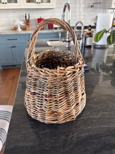 Customer photo review of The Berry Basket Course and Kit