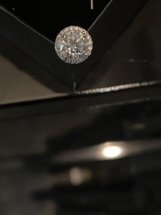 Customer photo review of S925 Sphere Earrings