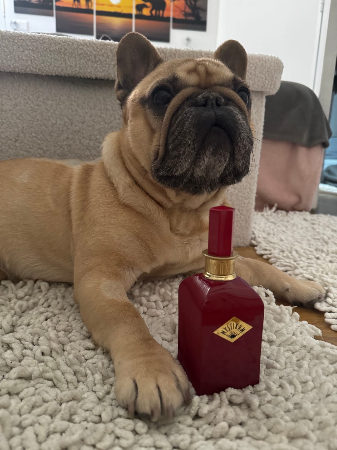 Customer photo review of Forbidden Rouge | Artist Edition