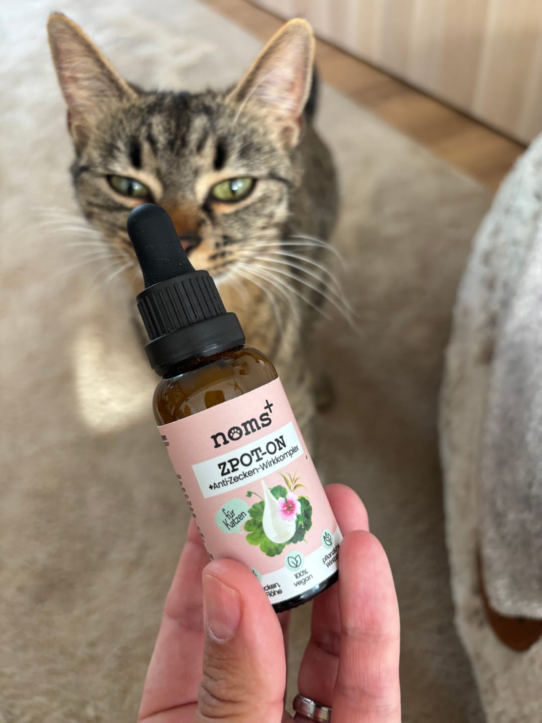 Customer photo review of Zpot-on für Katzen gegen Zecken, Flöhe, Milben & Mücken [Jahresvorrat]