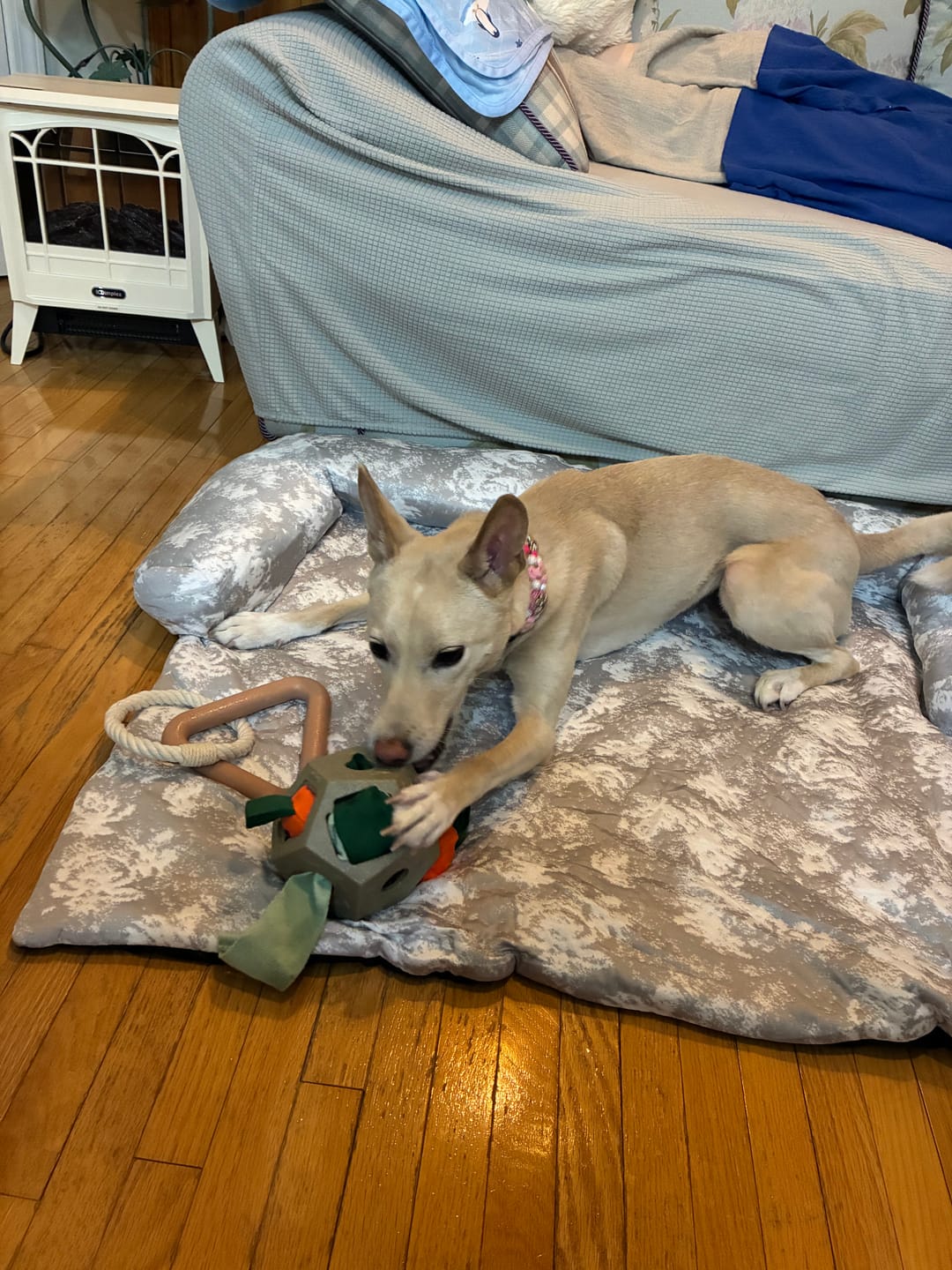Customer photo review of Frostcore™ Cooling Couch Cover Dog Bed - Clouds Grey
