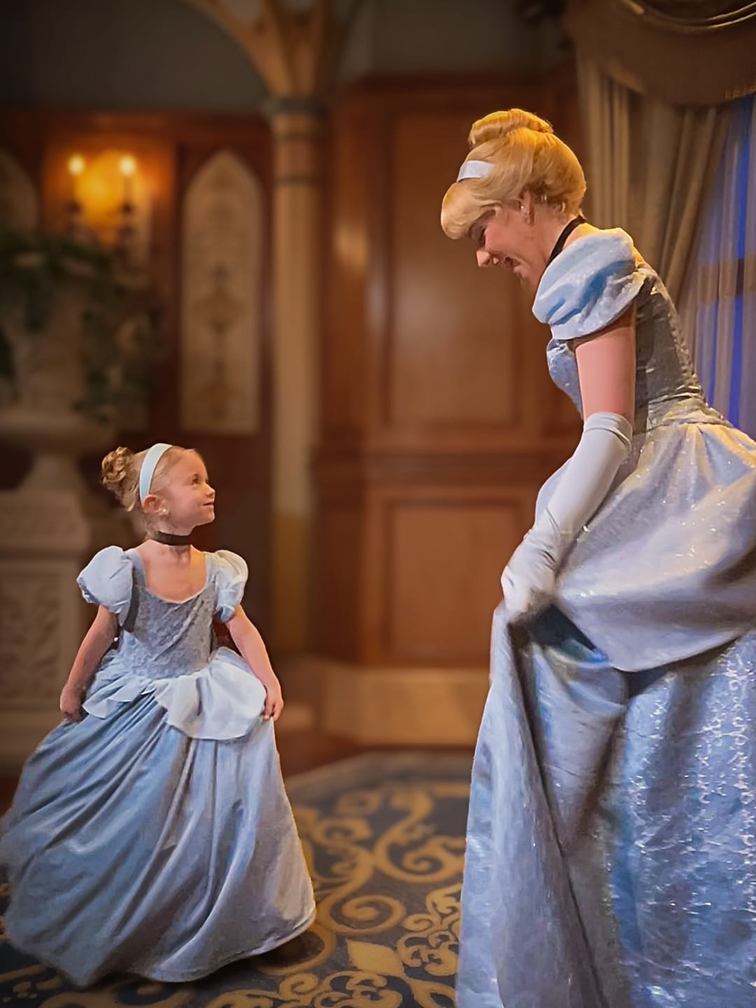 Customer photo review of Portrait Collection Cinderella Gown