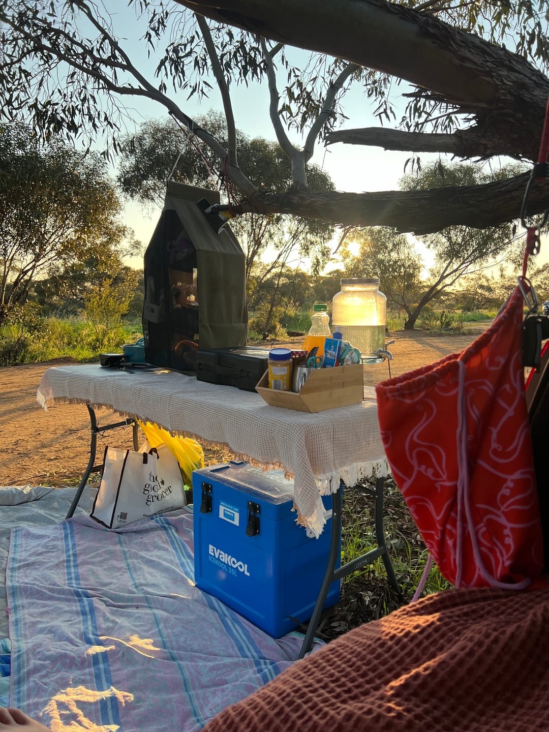 Customer photo review of TSUN Solar Spotlights For Trees Warm White