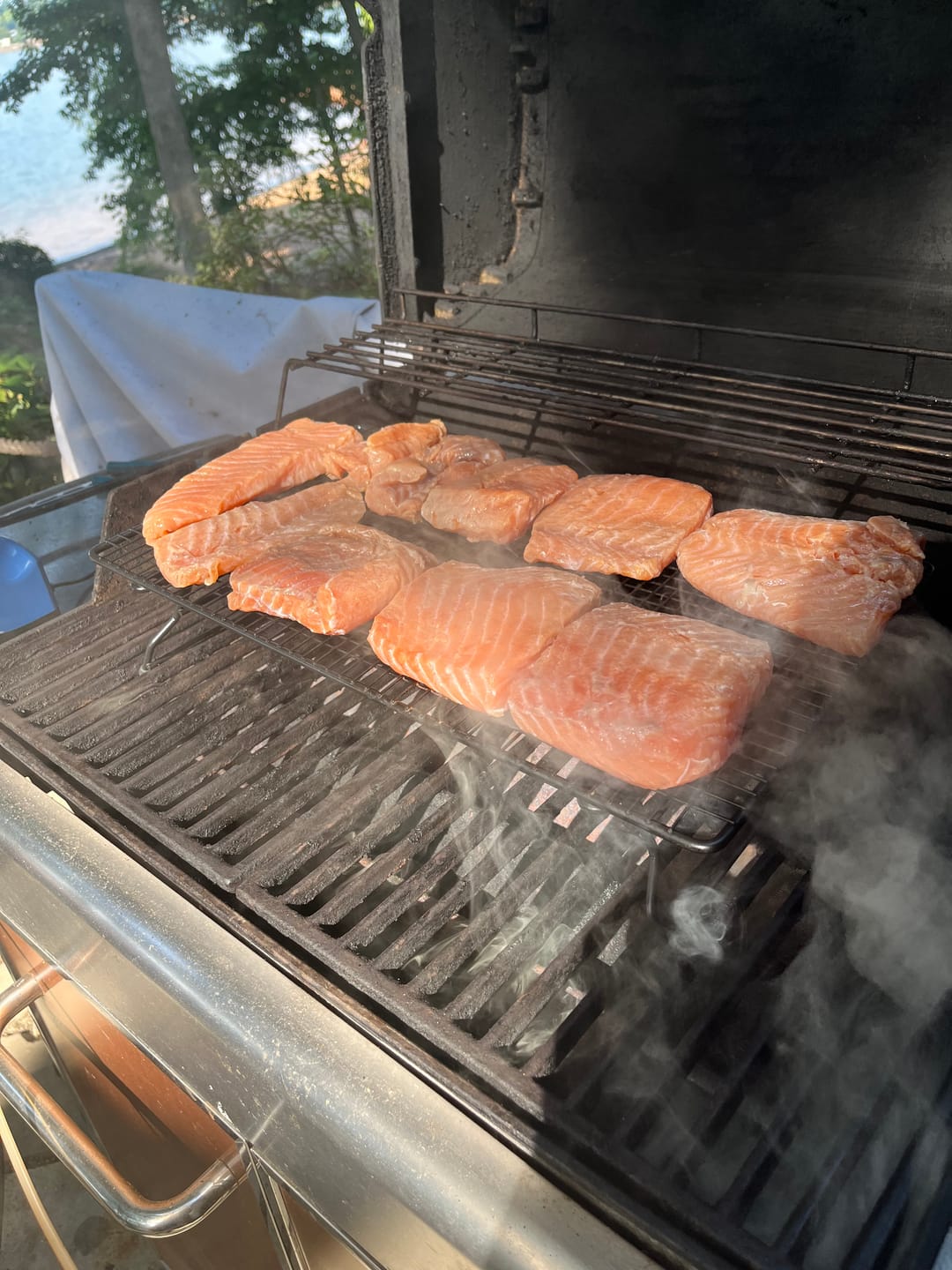 Customer photo review of Salmon Fillet, Sushi Grade from Iceland (6.3 LBS)
