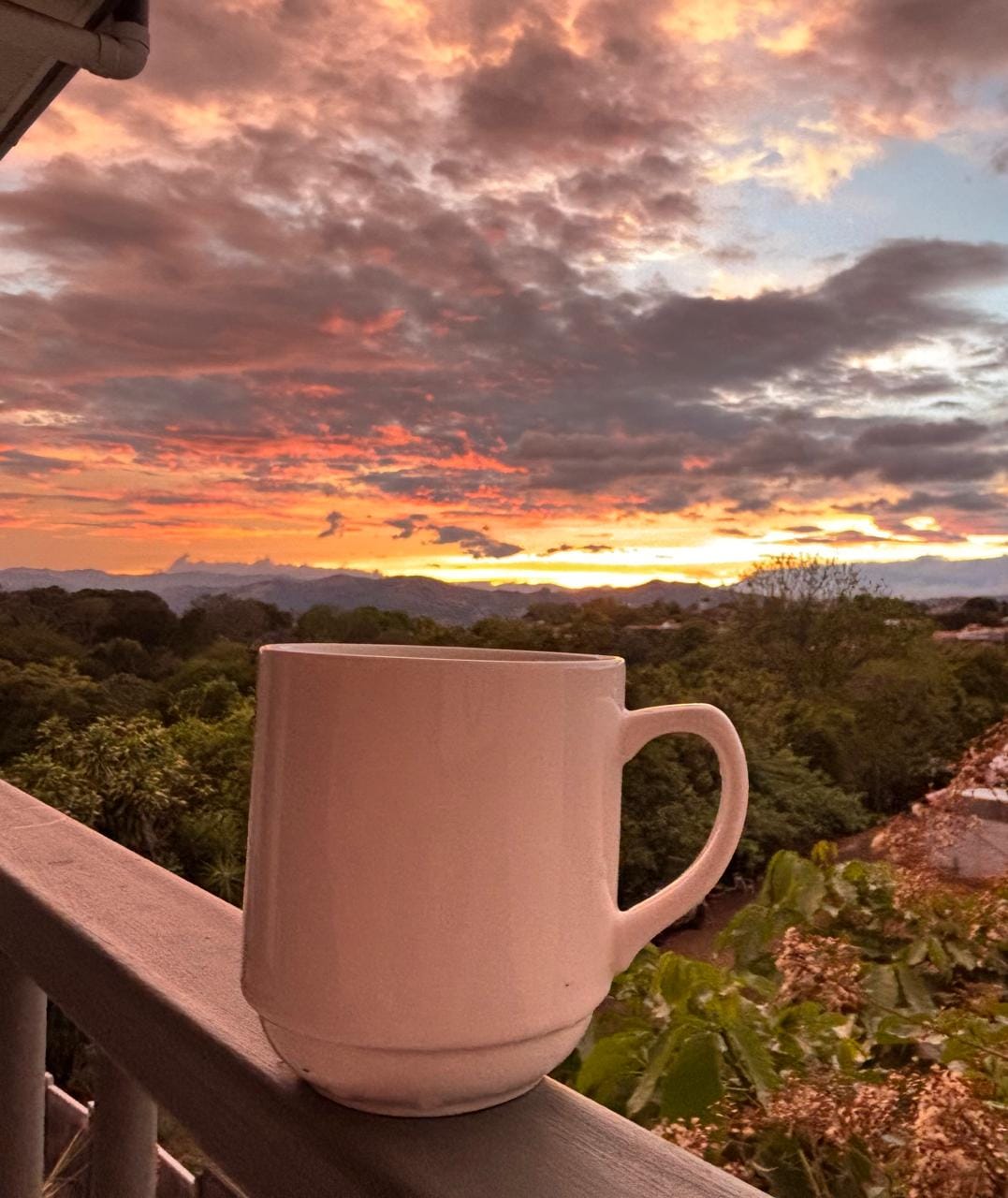 Customer photo review of Café Britt Descafeinado Molido