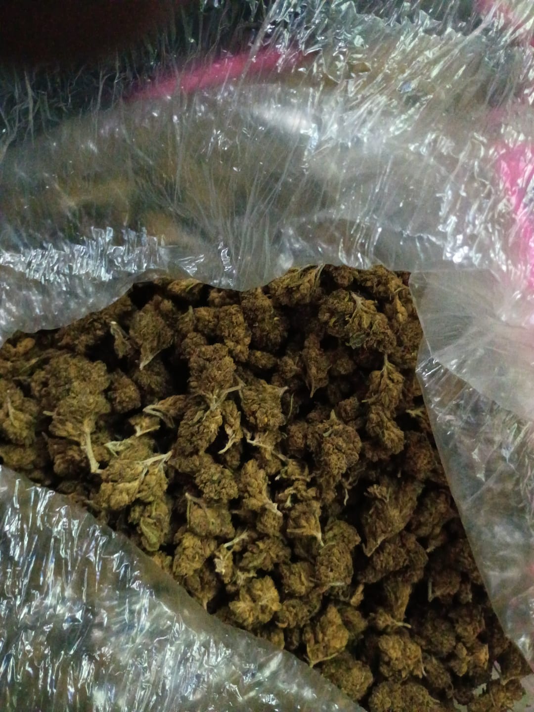 Customer photo review of Butterscotch OG - Bulk - Indica