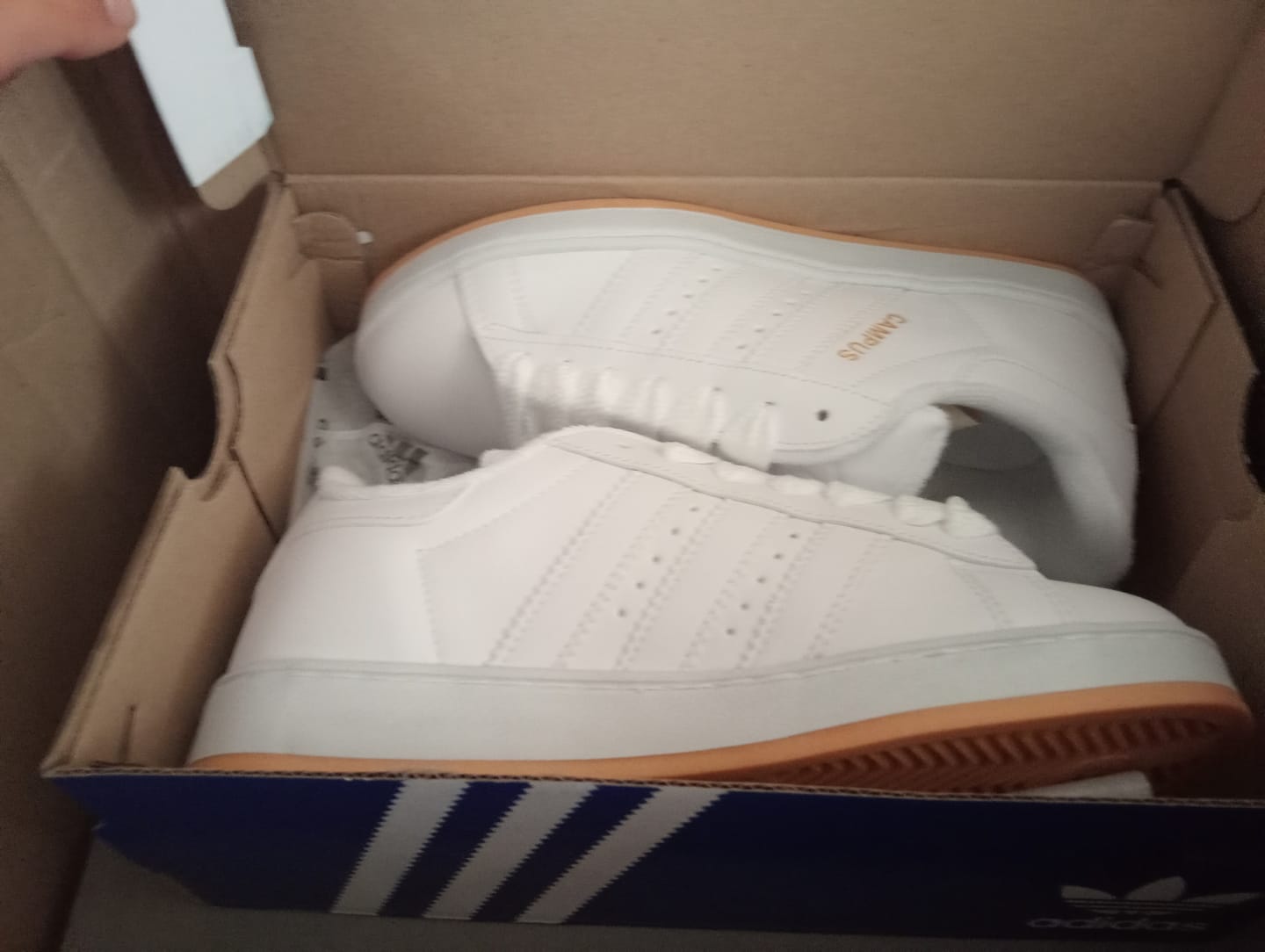 Customer photo review of Tenis 2000s Blanco Total
