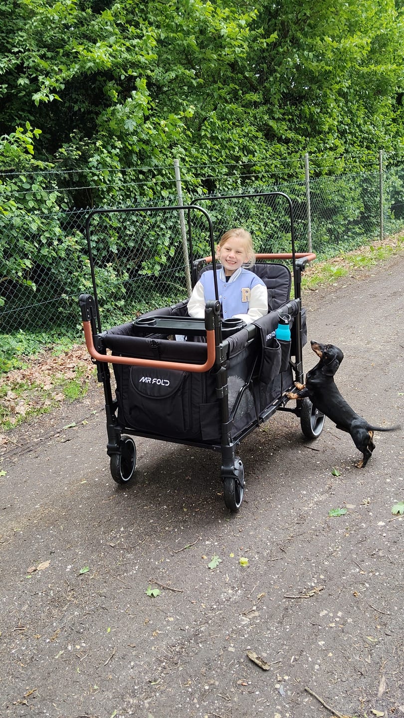 Customer photo review of P-Series Luxe 4-zits kinderkar