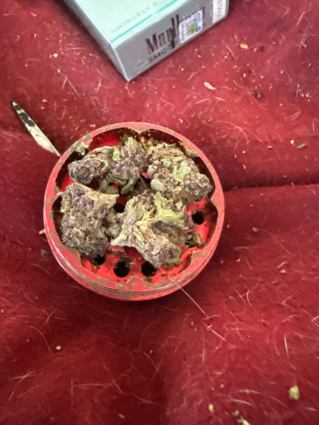Customer photo review of Granddaddy Purple - 28 Grams - Indica