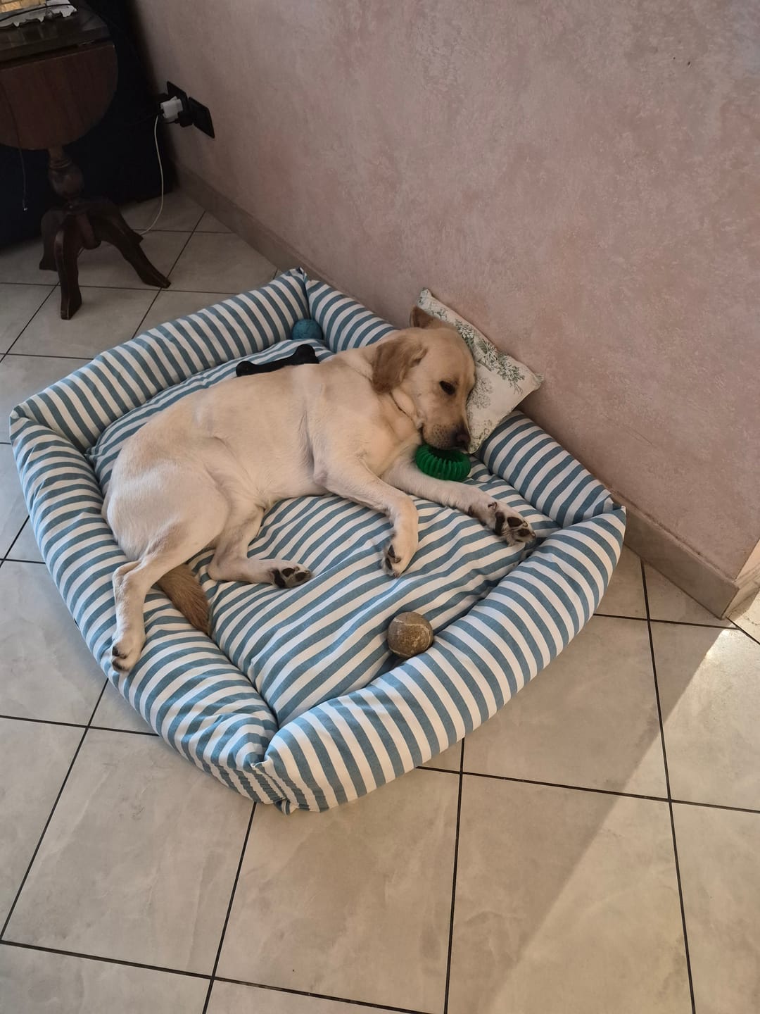 Customer photo review of Divanetto Cotone Righe Larghe Ottanio