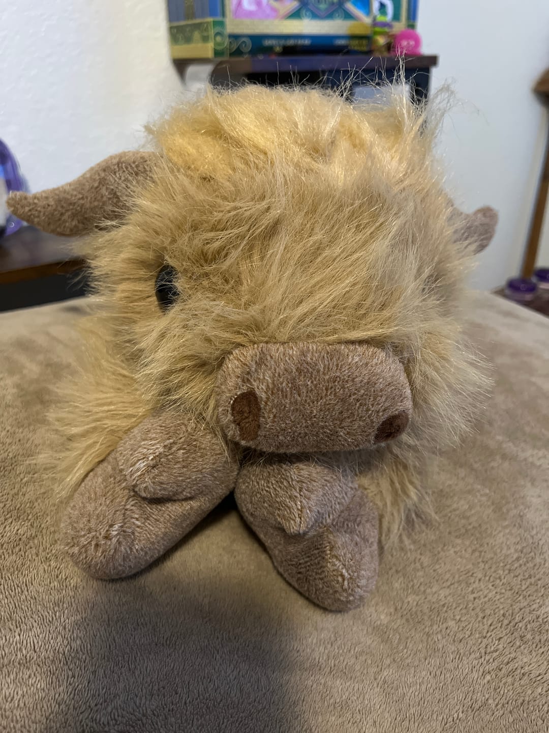 Customer photo review of Highland Cow Weighted Heated Plush